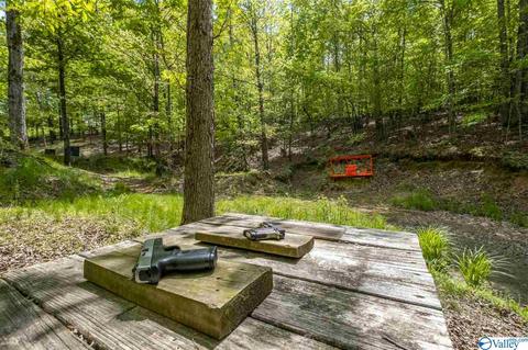 485 Mohawk Cliff Rd, Ohatchee, AL 36271 photo 14