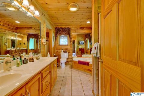 485 Mohawk Cliff Rd, Ohatchee, AL 36271 photo 26