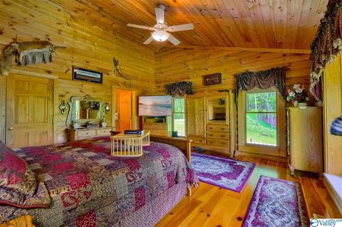 485 Mohawk Cliff Rd, Ohatchee, AL 36271 photo 24