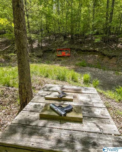 485 Mohawk Cliff Rd, Ohatchee, AL 36271 photo 15