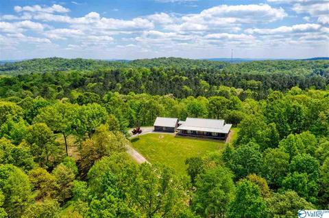 485 Mohawk Cliff Rd, Ohatchee, AL 36271 photo 5