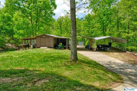 485 Mohawk Cliff Rd, Ohatchee, AL 36271 photo 12