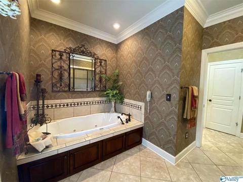 146 3rd Ave, Hamilton, AL 35570 photo 24
