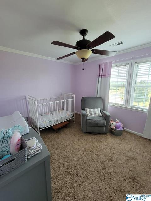 555 Frontier Rd, Arab, AL 35016 photo 37