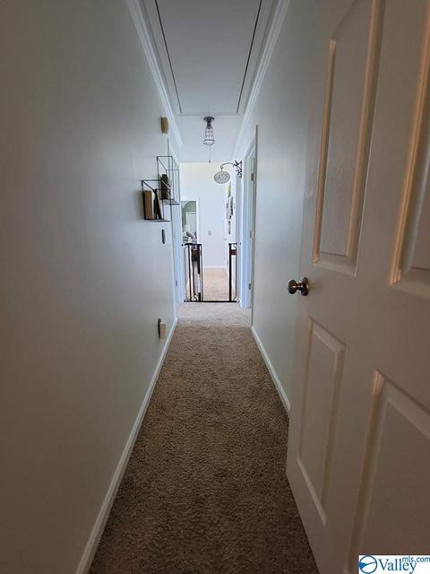 555 Frontier Rd, Arab, AL 35016 photo 35