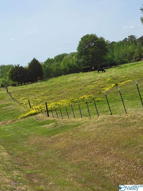 555 Frontier Rd, Arab, AL 35016 photo 7