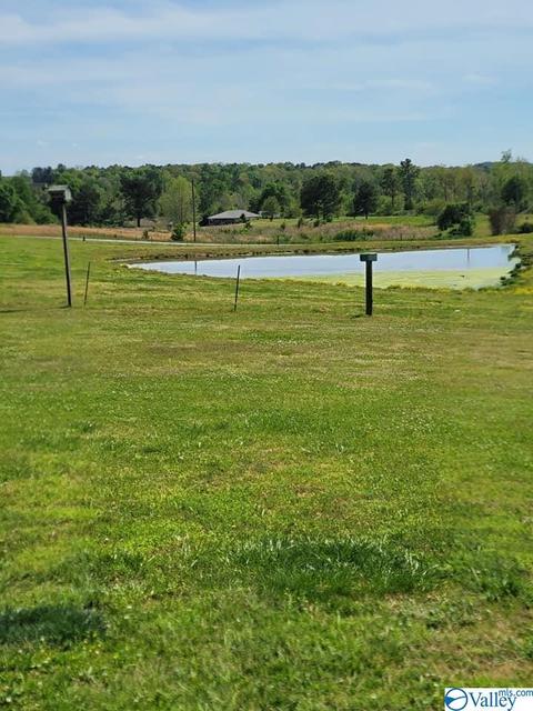555 Frontier Rd, Arab, AL 35016 photo 8