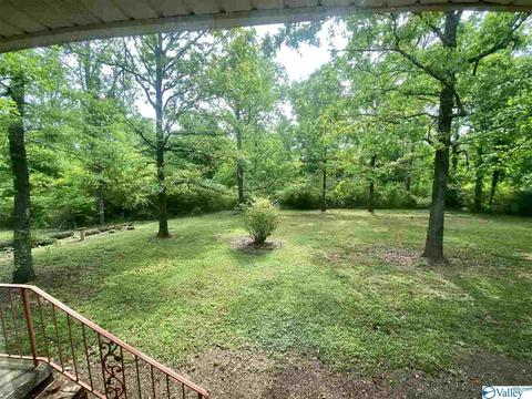 511 Centre St, Centre, AL 35960 photo 35
