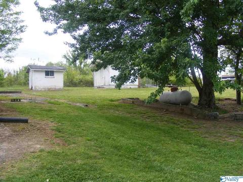 355 County Road 123, Dutton, AL 35744 photo 16