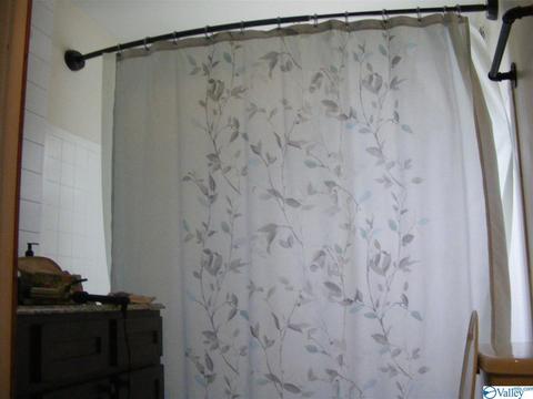 355 County Road 123, Dutton, AL 35744 photo 11