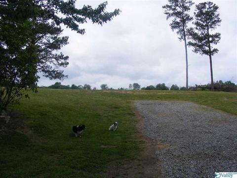 355 County Road 123, Dutton, AL 35744 photo 15