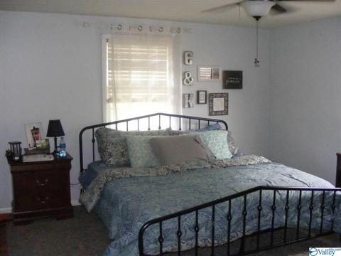 355 County Road 123, Dutton, AL 35744 photo 9