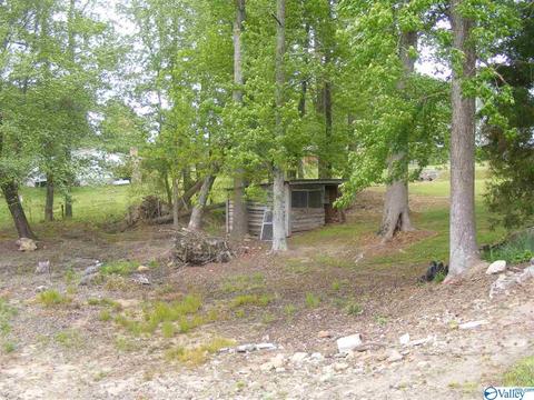 355 County Road 123, Dutton, AL 35744 photo 20