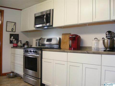 355 County Road 123, Dutton, AL 35744 photo 3