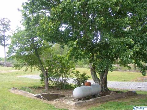 355 County Road 123, Dutton, AL 35744 photo 17