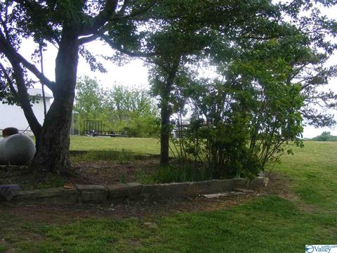 355 County Road 123, Dutton, AL 35744 photo 18