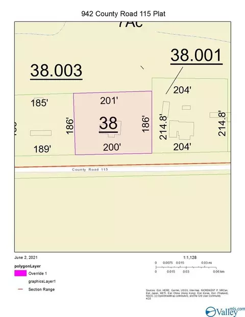 942 County Road 115, Section, AL 35771 photo 3