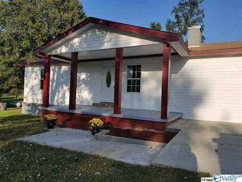 333 County Road 319, Trinity, AL 35673 photo 1