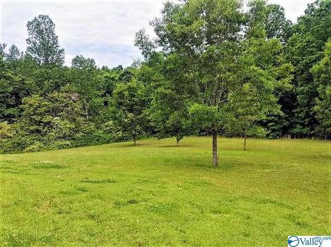 102 Pine St, Addison, AL 35540 photo 6