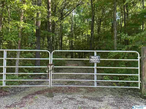 92 County Road 365, Trinity, AL 35673 photo 1