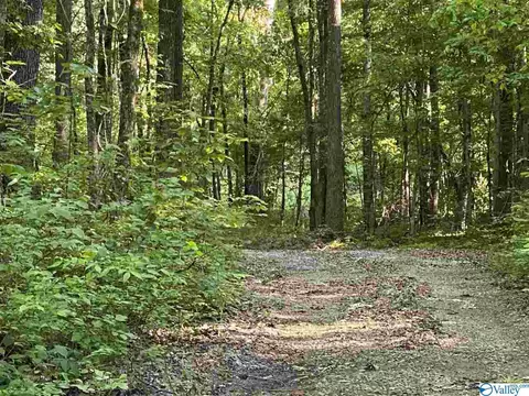 92 County Road 365, Trinity, AL 35673 photo 3