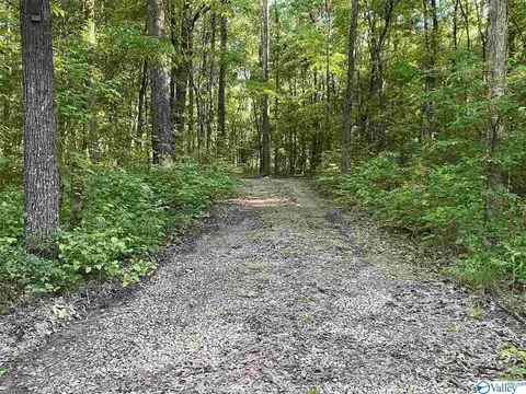 92 County Road 365, Trinity, AL 35673 photo 2