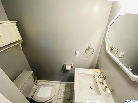 260 County Road 608, Cedar Bluff, AL 35959 photo 19