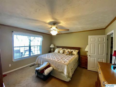 260 County Road 608, Cedar Bluff, AL 35959 photo 22