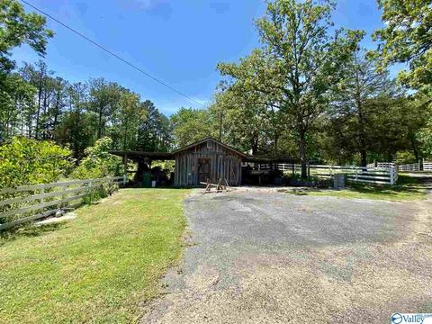 260 County Road 608, Cedar Bluff, AL 35959 photo 40