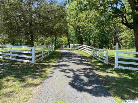 260 County Road 608, Cedar Bluff, AL 35959 photo 43