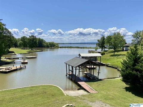 260 County Road 608, Cedar Bluff, AL 35959 photo 1
