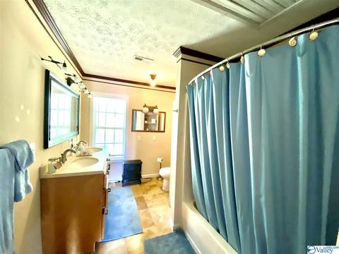 260 County Road 608, Cedar Bluff, AL 35959 photo 29