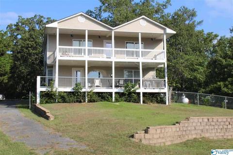 260 County Road 608, Cedar Bluff, AL 35959 photo 2