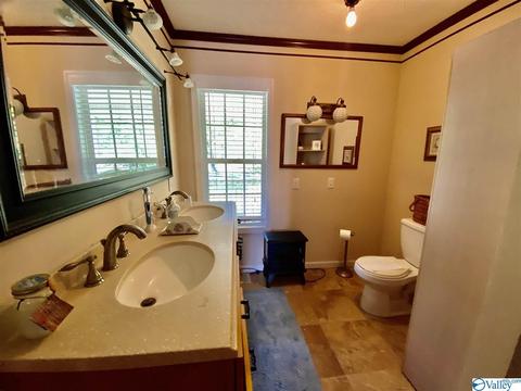 260 County Road 608, Cedar Bluff, AL 35959 photo 28