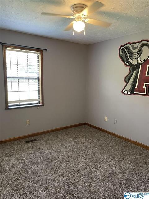 6095 Third St, Hokes Bluff, AL 35903 photo 8