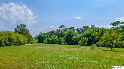 1917 County Road 49, Section, AL 35771 photo 11