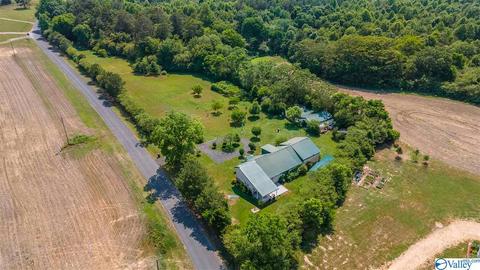 1917 County Road 49, Section, AL 35771 photo 15