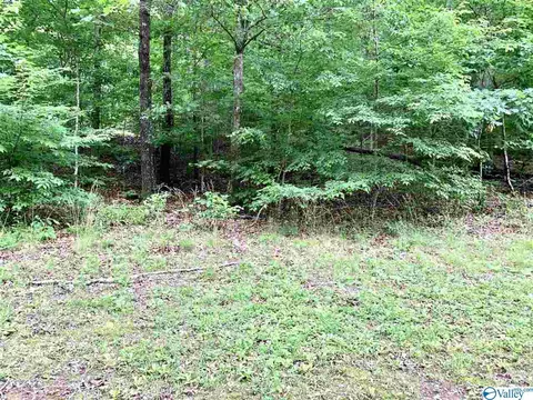 0 34 Acres Shady Ln, Fort Payne, AL 35967