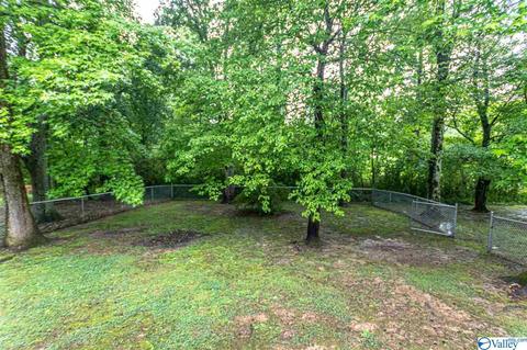 1003 7th Pl, Arab, AL 35016 photo 16
