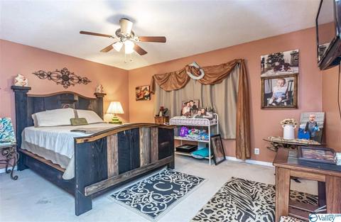 1003 7th Pl, Arab, AL 35016 photo 13