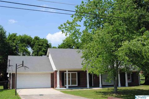 123 Raspberry Way, Madison, AL 35757 photo 1