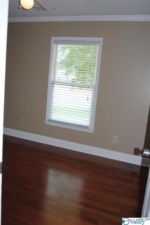 123 Raspberry Way, Madison, AL 35757 photo 11