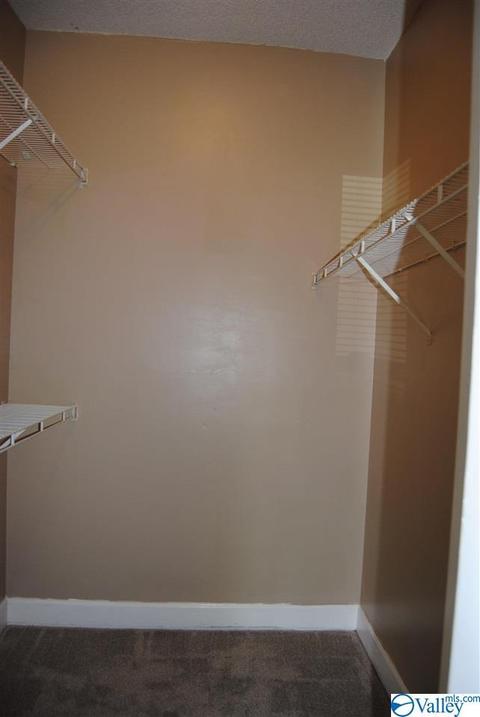 123 Raspberry Way, Madison, AL 35757 photo 9