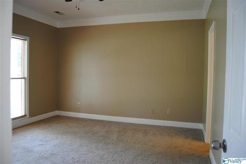 123 Raspberry Way, Madison, AL 35757 photo 8