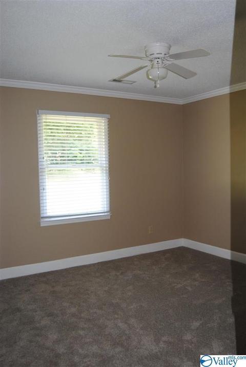 123 Raspberry Way, Madison, AL 35757 photo 10