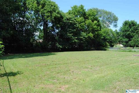 123 Raspberry Way, Madison, AL 35757 photo 13