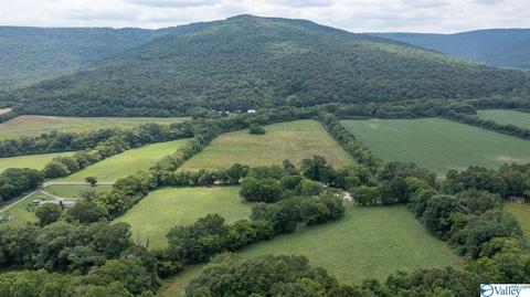 429 County Road 9, Estillfork, AL 35745 photo 8