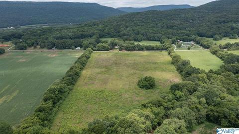 429 County Road 9, Estillfork, AL 35745 photo 15