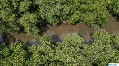 429 County Road 9, Estillfork, AL 35745 photo 17