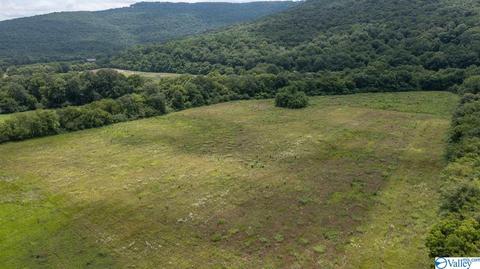 429 County Road 9, Estillfork, AL 35745 photo 22